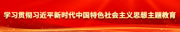 骚屌美女学习贯彻习近平新时代中国特色社会主义思想主题教育